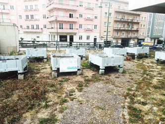 Ongoing tests on green roofs